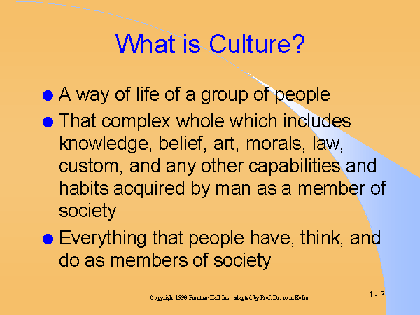 What is Culture?